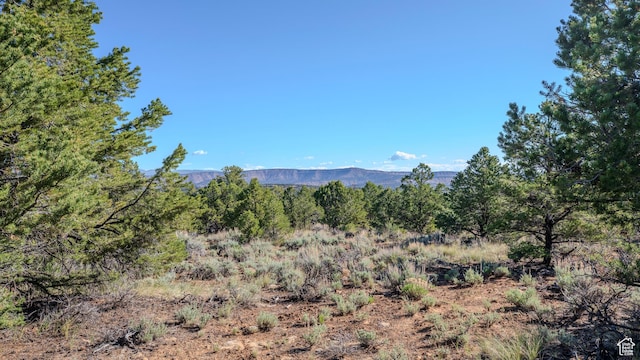 33432 W 8000 S, Duchesne, UT 84021 - mountain view