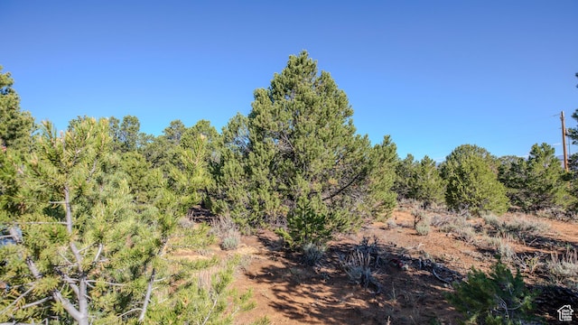 33432 W 8000 S, Duchesne, UT 84021 - view of nature
