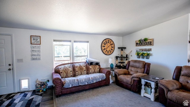 33432 W 8000 S, Duchesne, UT 84021 - view of living area