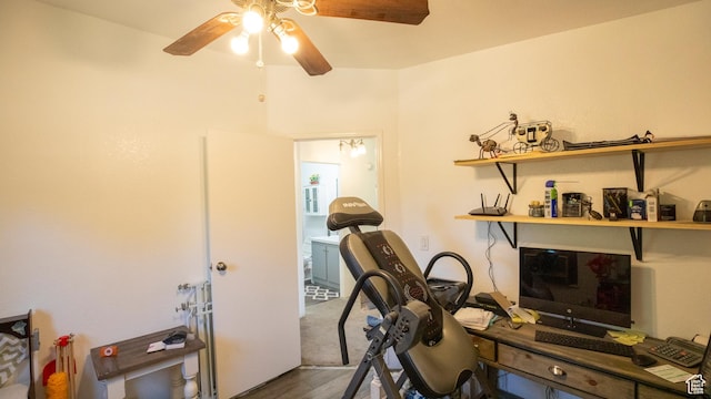 33432 W 8000 S, Duchesne, UT 84021 - exercise area with ceiling fan and wood finished floors