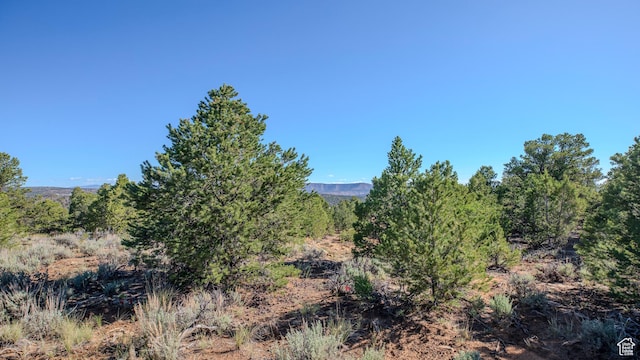33432 W 8000 S, Duchesne, UT 84021 - view of nature