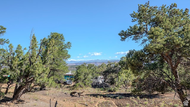 33432 W 8000 S, Duchesne, UT 84021 - mountain view