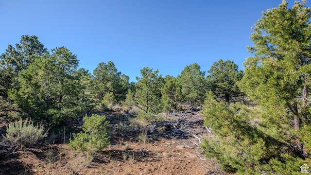 33432 W 8000 S, Duchesne, UT 84021 - view of local wilderness