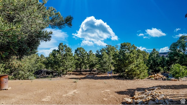 33432 W 8000 S, Duchesne, UT 84021 - view of yard