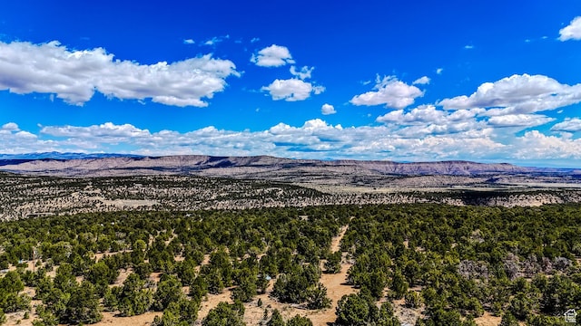 33432 W 8000 S, Duchesne, UT 84021 - view of mountain background