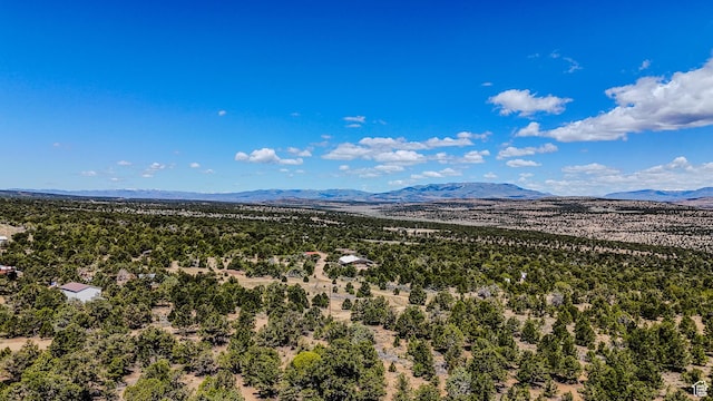 33432 W 8000 S, Duchesne, UT 84021 - mountain view