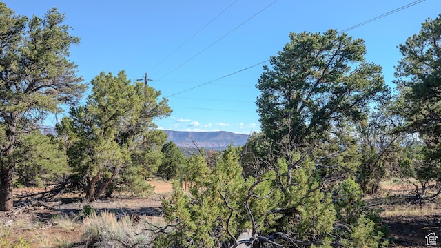 33432 W 8000 S, Duchesne, UT 84021 - view of mountain backdrop