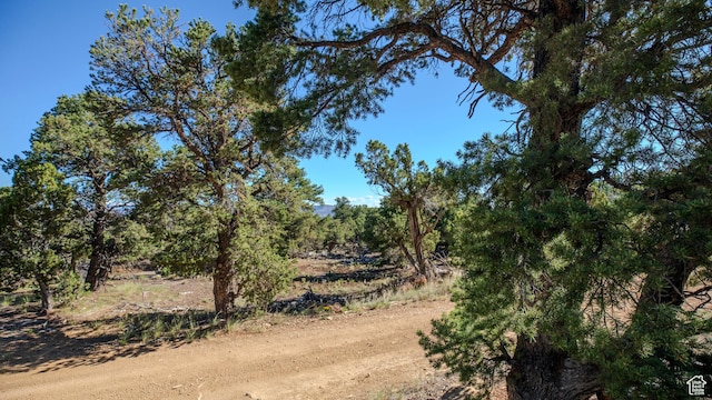 33432 W 8000 S, Duchesne, UT 84021 - view of local wilderness