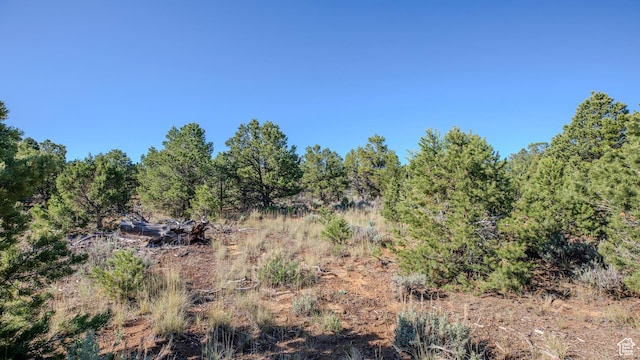 33432 W 8000 S, Duchesne, UT 84021 - view of wooded area