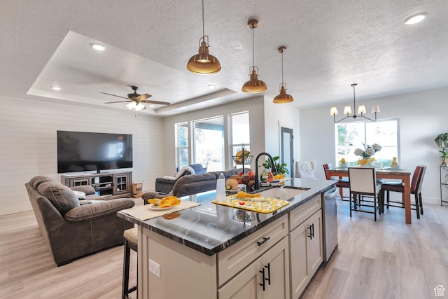 1118 E 1310 S, Garland, UT 84312 - kitchen with a sink, a tray ceiling, light wood-style flooring, and a textured ceiling
