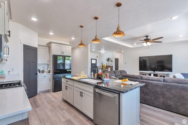 1118 E 1310 S, Garland, UT 84312 - kitchen with light wood-style floors, ceiling fan, a sink, and stainless steel appliances
