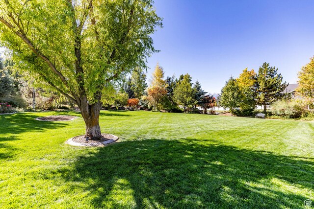 3383 Wild Mare Way, Heber City, UT 84032 - view of grassy yard