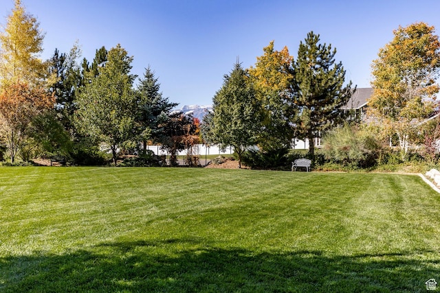 3383 Wild Mare Way, Heber City, UT 84032 - view of grassy yard