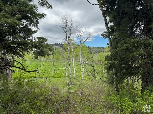 2241 S Forest Meadow Rd Unit 158B, Wanship, UT 84017