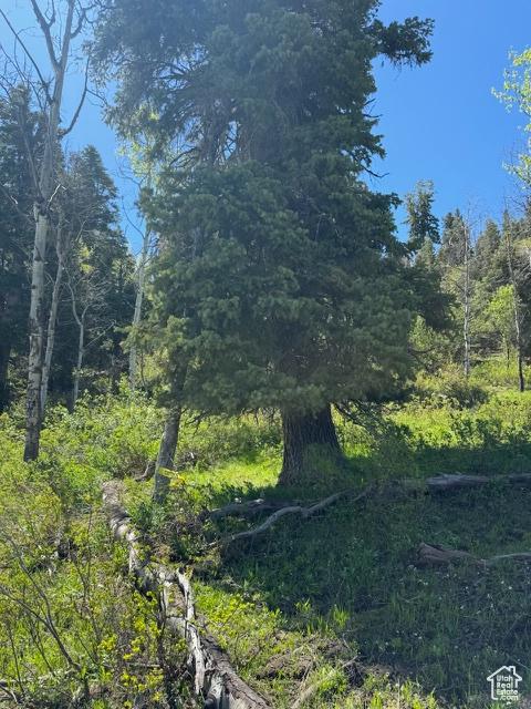 2241 S Forest Meadow Rd Unit 158B, Wanship, UT 84017