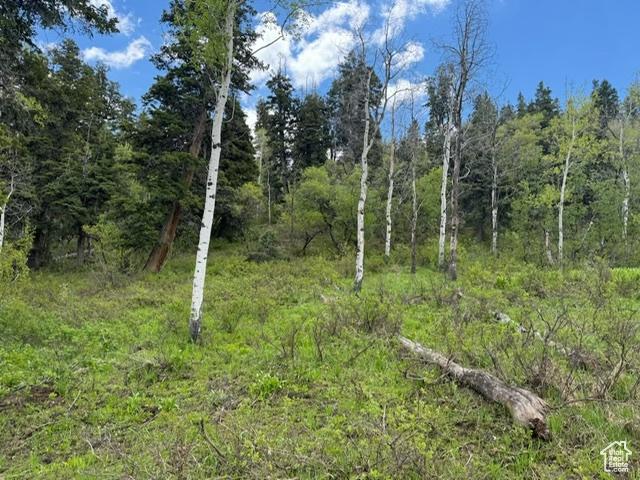 2241 S Forest Meadow Rd Unit 158B, Wanship, UT 84017