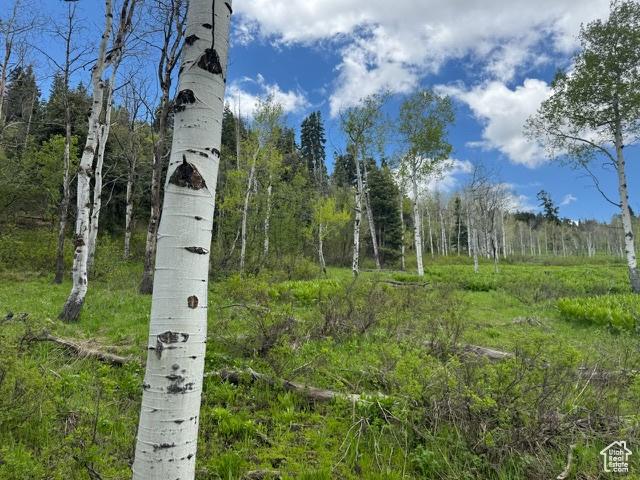 2241 S Forest Meadow Rd Unit 158B, Wanship, UT 84017