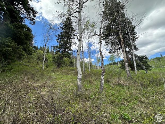 2241 S Forest Meadow Rd Unit 158B, Wanship, UT 84017