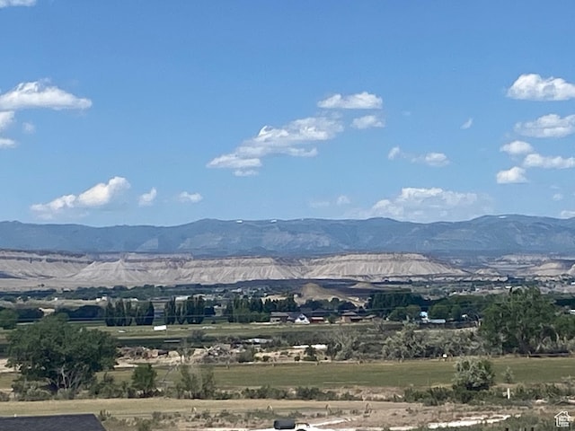 2317 N Hillside Dr, Wellington, UT 84542 - mountain view