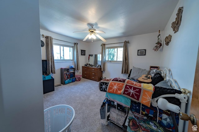 2317 N Hillside Dr, Wellington, UT 84542 - carpeted bedroom with ceiling fan and multiple windows
