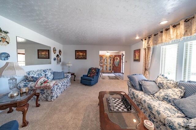 2317 N Hillside Dr, Wellington, UT 84542 - living area featuring carpet floors and a textured ceiling