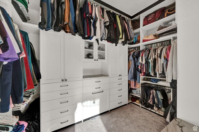 8122 S Willow Creek Cv, Cottonwood Heights, UT 84093 - view of spacious closet