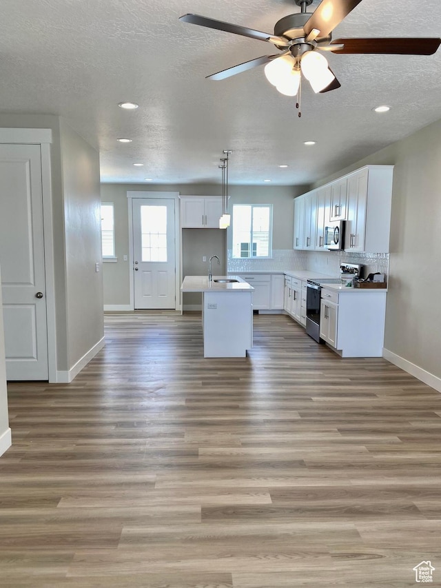 1688 N Centerpoint Ln, Salem, UT 84653 - kitchen with appliances with stainless steel finishes, white cabinetry, baseboards, light wood finished floors, and recessed lighting