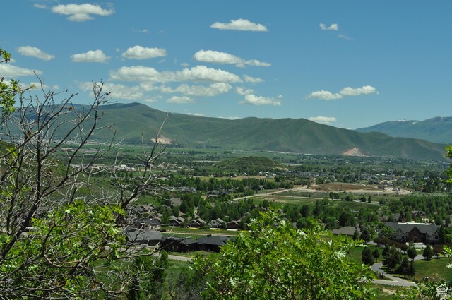283 Jungfrau Hill Rd Unit 20, Midway, UT 84049