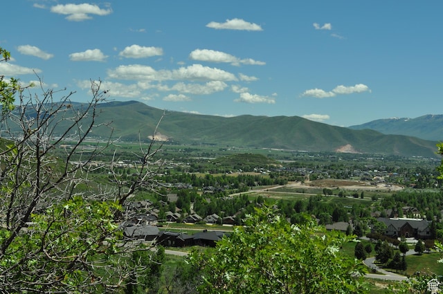 283 Jungfrau Hill Rd Unit 20, Midway, UT 84049 - photo 7