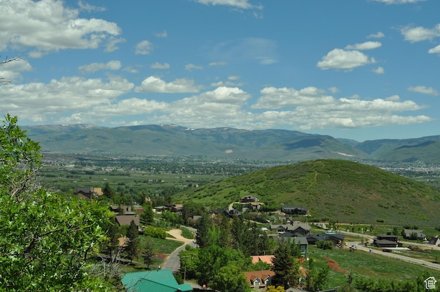 283 Jungfrau Hill Rd Unit 20, Midway, UT 84049