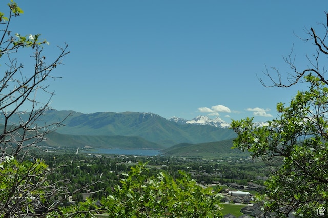 283 Jungfrau Hill Rd Unit 20, Midway, UT 84049 - photo 8