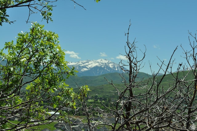 283 Jungfrau Hill Rd Unit 20, Midway, UT 84049