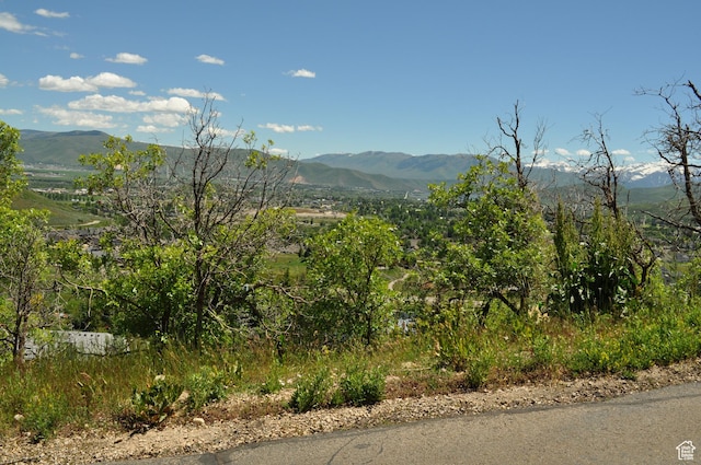 283 Jungfrau Hill Rd Unit 20, Midway, UT 84049