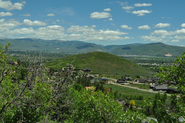 283 Jungfrau Hill Rd Unit 20, Midway, UT 84049 - photo 6
