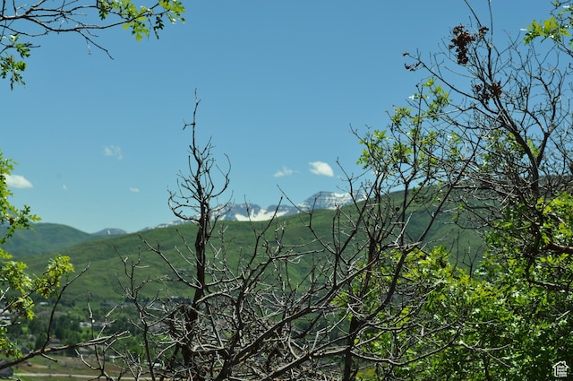 283 Jungfrau Hill Rd Unit 20, Midway, UT 84049