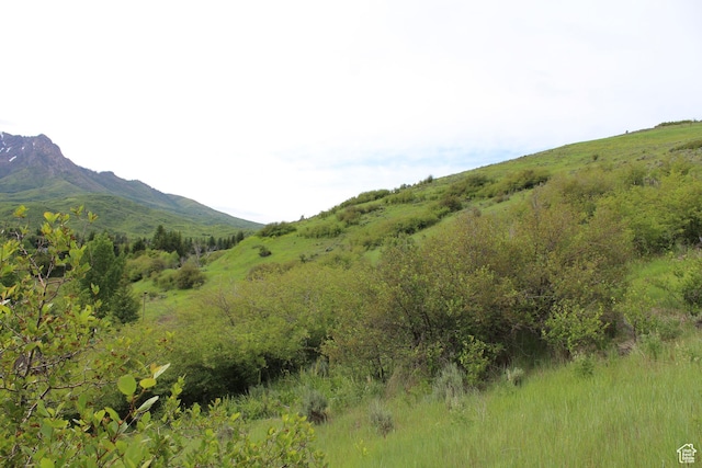 5570 W Mountain View Dr, Mountain Green, UT 84050
