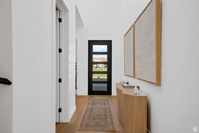 5466 S Persian Ln, St George, UT 84790 - doorway featuring light hardwood / wood-style floors