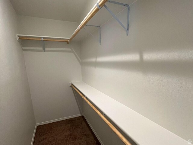 spacious closet with dark carpet