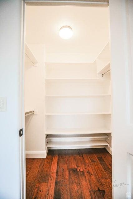 spacious closet featuring dark wood-type flooring