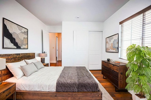 bedroom with a closet and dark hardwood / wood-style floors