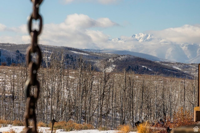 10454 E Forest Creek Rd, Kamas, UT 84036 - view of mountain feature featuring a wooded view
