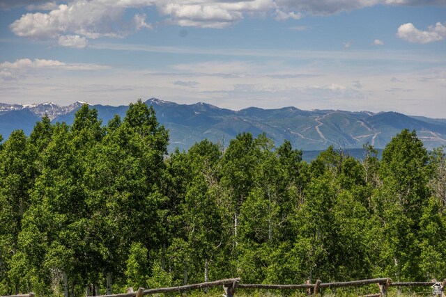 10454 E Forest Creek Rd, Kamas, UT 84036 - photo 90