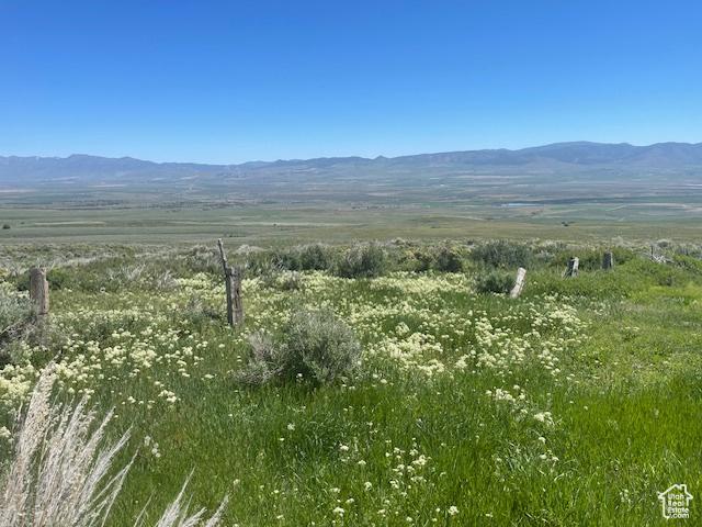 1234 W Mines Rd, Downey, ID 83234