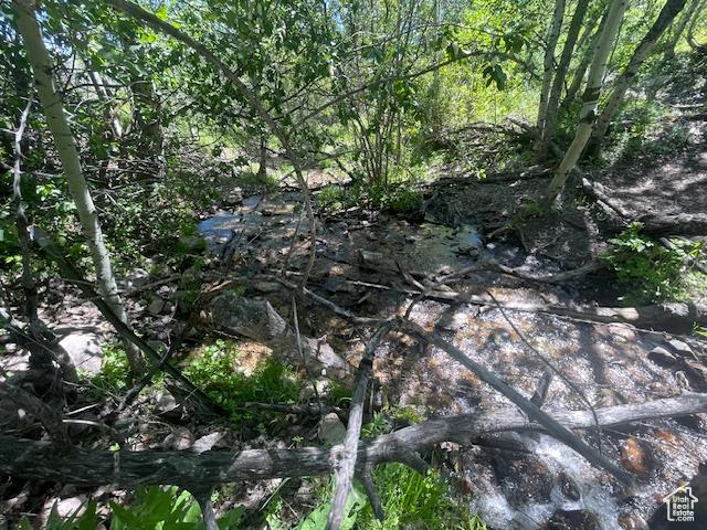 1234 W Mines Rd, Downey, ID 83234