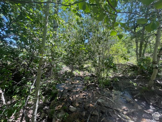 1234 W Mines Rd, Downey, ID 83234