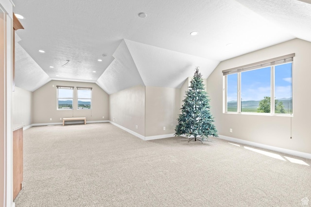 84 W 2100 N, Kamas, UT 84036 - bonus room with lofted ceiling, a textured ceiling, baseboards, and carpet flooring