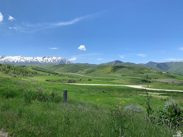 1463 Redbud Ct S Unit 13, Huntsville, UT 84317 - photo 6