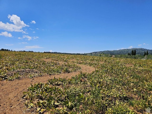 11063 E Chukar Point Dr Unit H155, Huntsville, UT 84317
