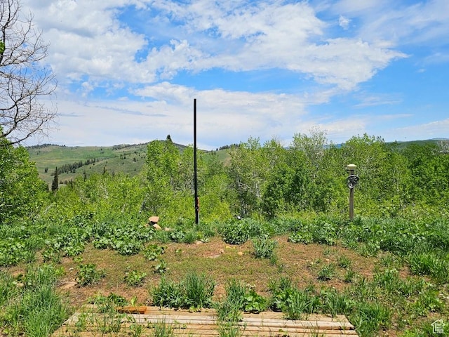 11063 E Chukar Point Dr Unit H155, Huntsville, UT 84317