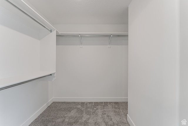 spacious closet featuring light colored carpet